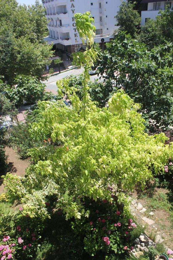 Thermal Orkide Pansiyon Yalova  Exterior photo